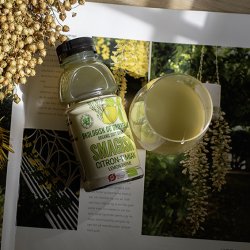 SMAGISK �kologiske Citron-Timian - 0,33 l PET