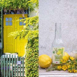 SMAGISK �kologiske Citron-Timian saft - 0,25 l glas