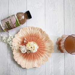 SMAGISK �kologiske Rabarbersaft - 0,33 l PET